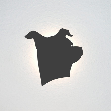 Portrait eines aufmerksamen Hundes.