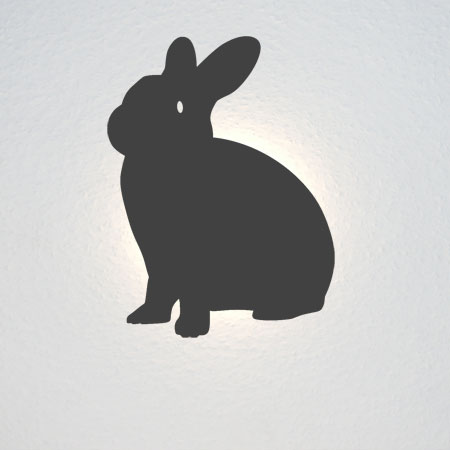 Das Kaninchen guckt seitlich in die Kamera (Halbprofil).